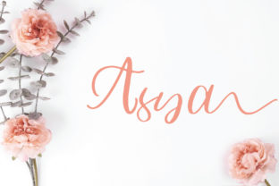 Asya: An Elegant Script Font for Web Design