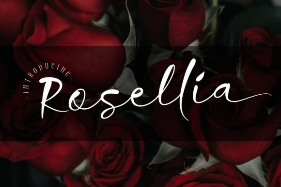 Discover Rosellia: A Unique Typeface for Bold Campaigns