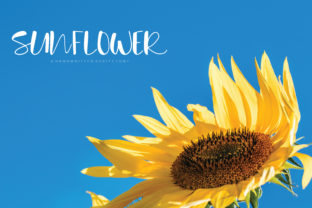 Enhance Your Brand with Sunflower: A Unique Handwritten Font