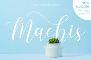 Machis: A Script Amp Font for Modern Design