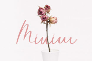 Minim: A Font for Elegant and Consistent Branding