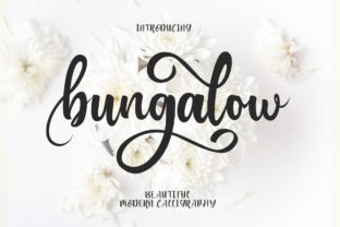 Transform Your Brand with Bungalow: A Modern Script Font